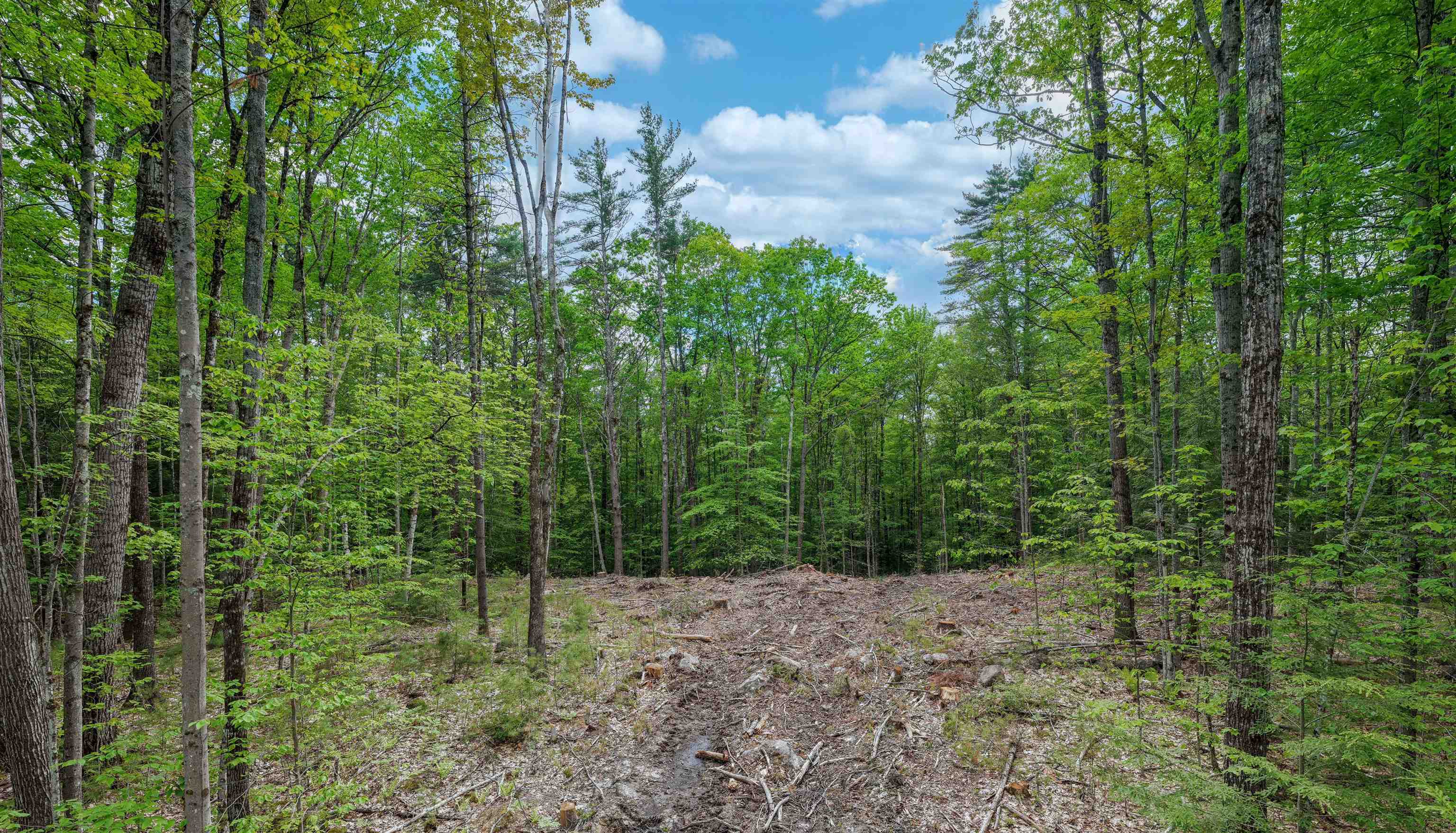 Lot 2 Winona Road Meredith, NH 03253 - Photo 7 of 14