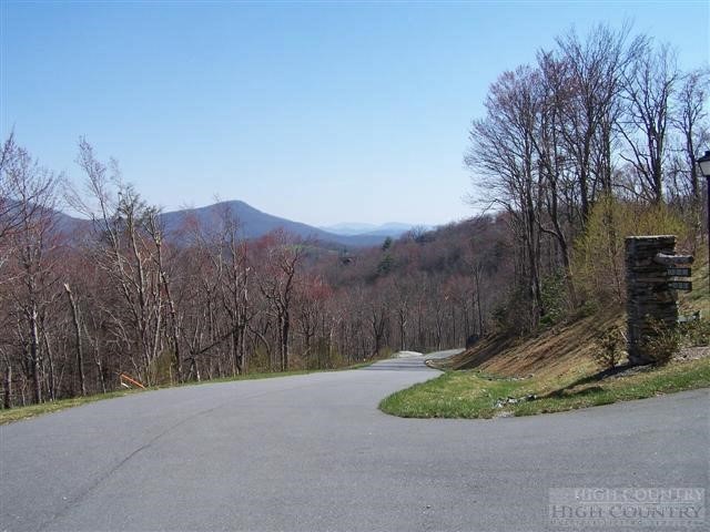 Lot #21 Scaley Bark Lane Boone, NC 28607 - Photo 4 of 12