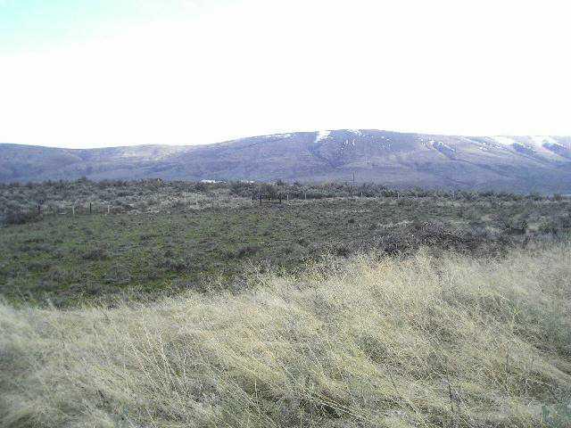 22909 Ahtanum Road Yakima, WA 98903 - Photo 3 of 9 a view of an outdoor space with mountain view