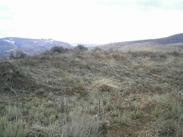 22909 Ahtanum Road Yakima, WA 98903 - Photo 5 of 9 a view of a dry field