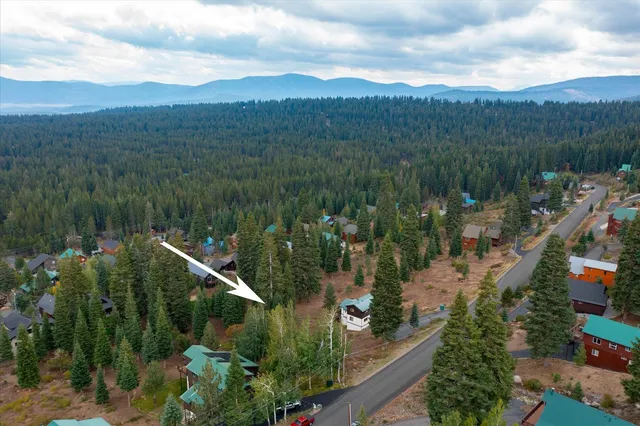 a view of a city with lush green forest