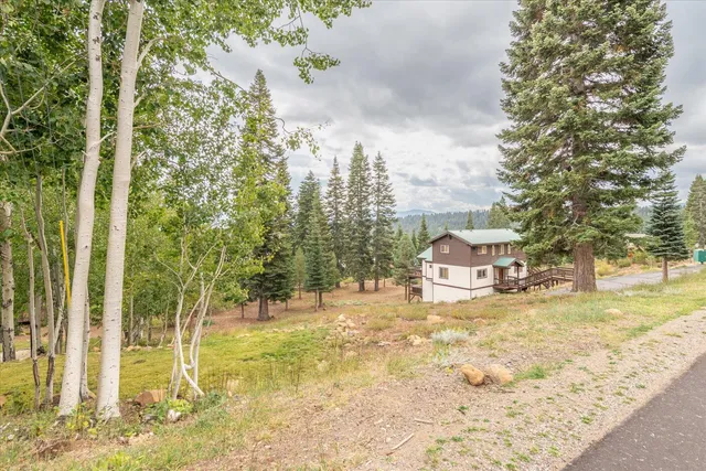 a view of a yard with trees