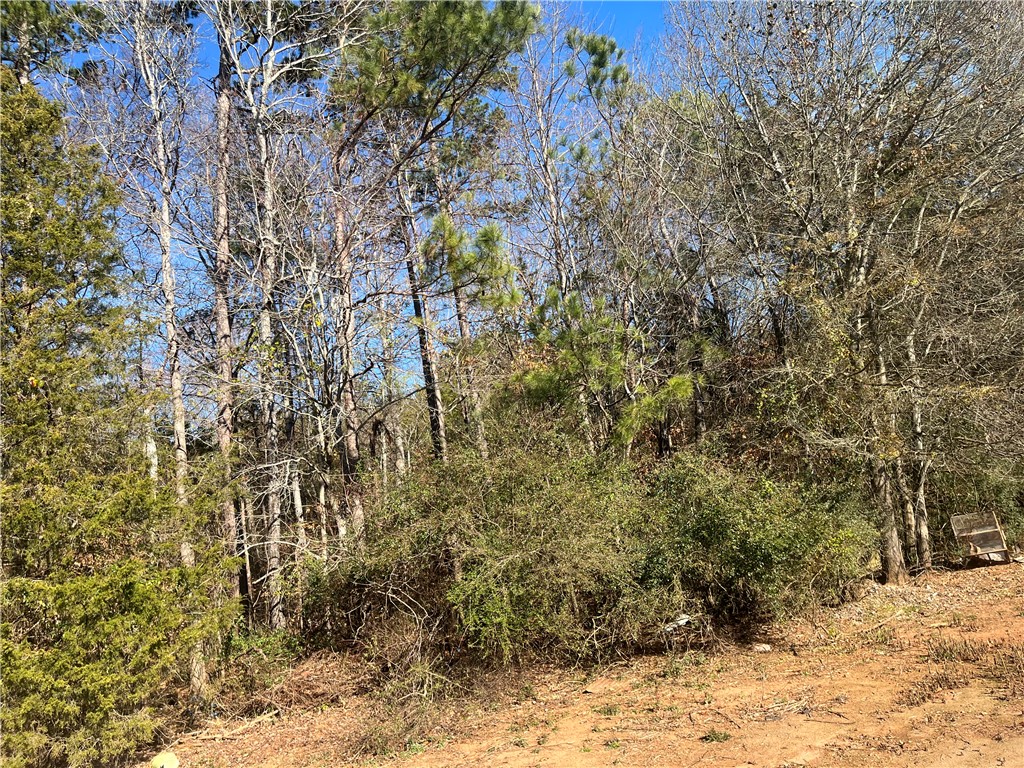 115 Mulliken Road Central, SC 29630 - Photo 8 of 10