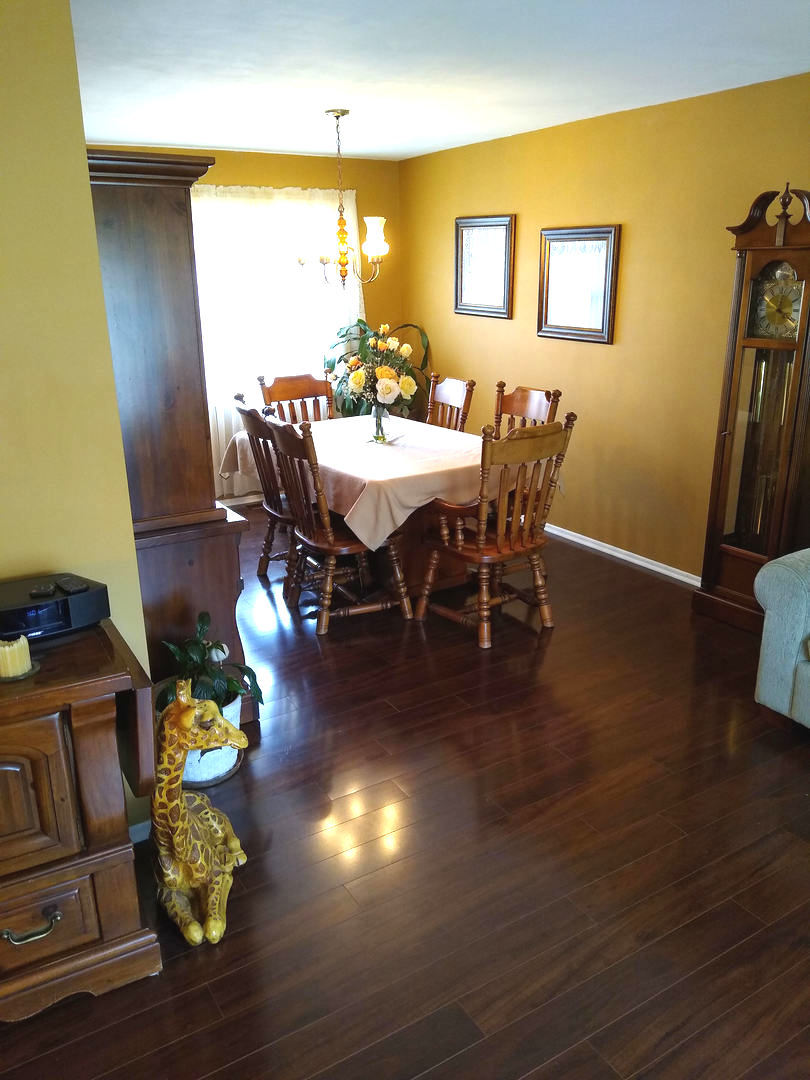 715 Lacy Avenue Streamwood, IL 60107 - Photo 9 of 28