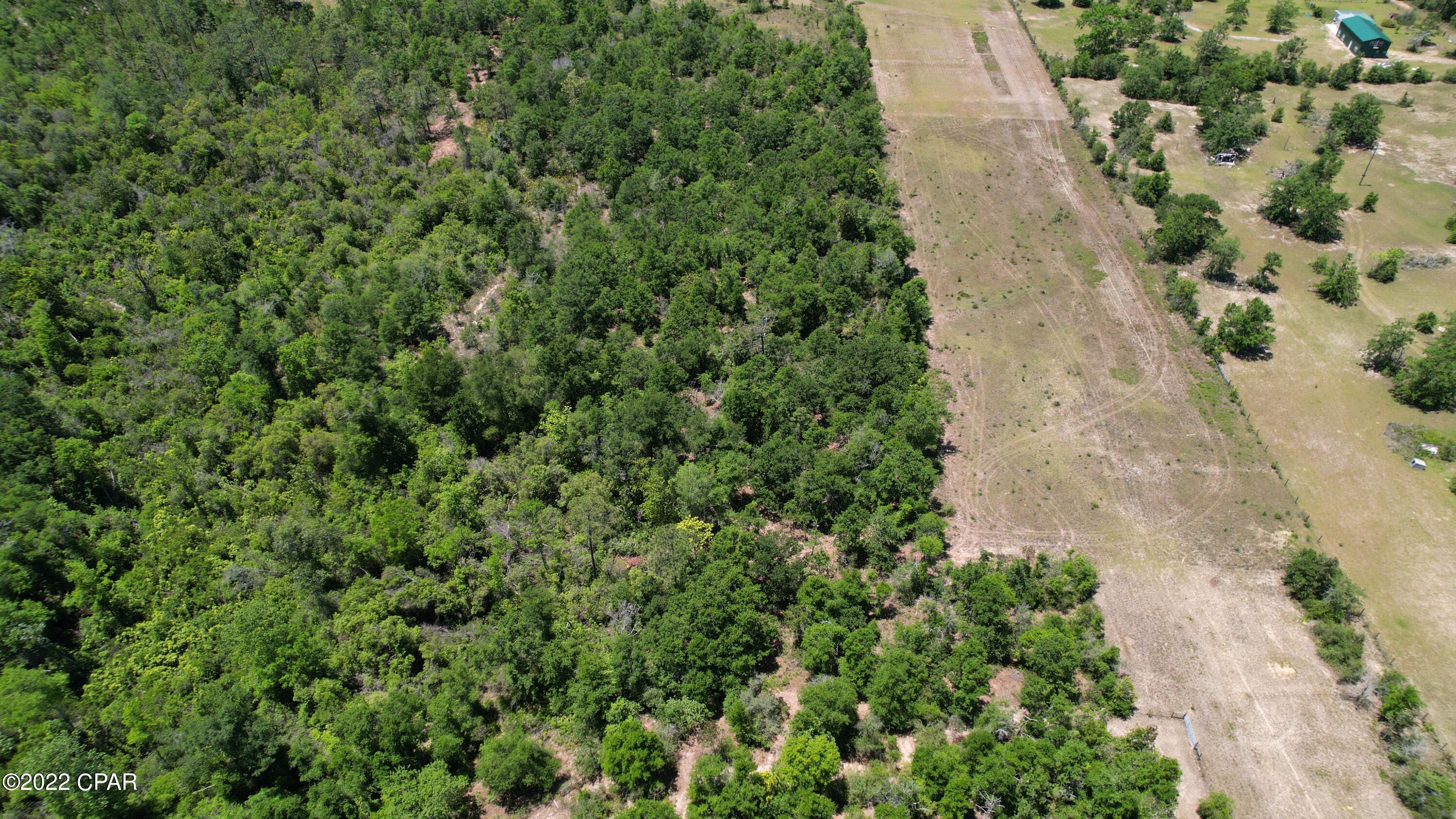 0 Diddly Road Chipley, FL 32428 - Photo 9 of 25 Gallery Image 9