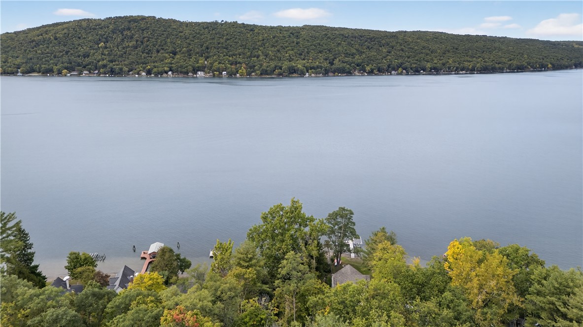 14721 Keuka Village Road Wayne, NY 14837 - Photo 23 of 28