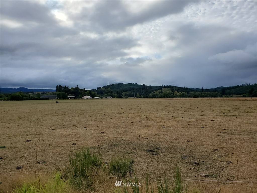 641 Boistfort Road Curtis, WA 98538 - Photo 11 of 19 a view of lake