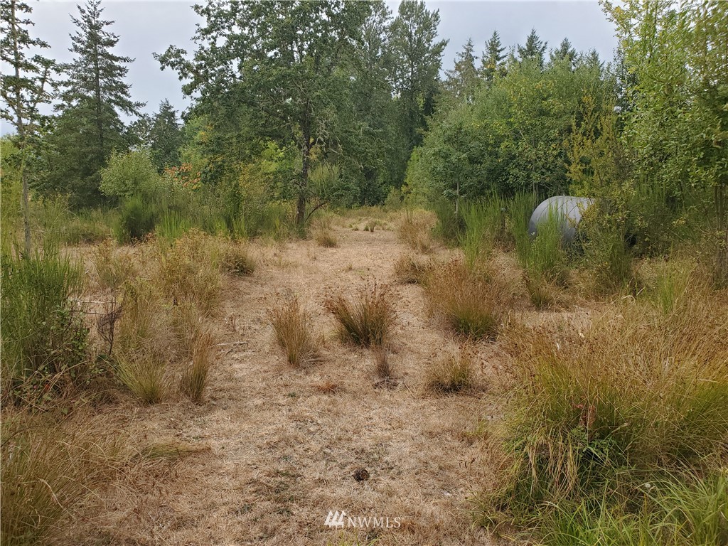 641 Boistfort Road Curtis, WA 98538 - Photo 12 of 19 a view of a lake with lots of trees