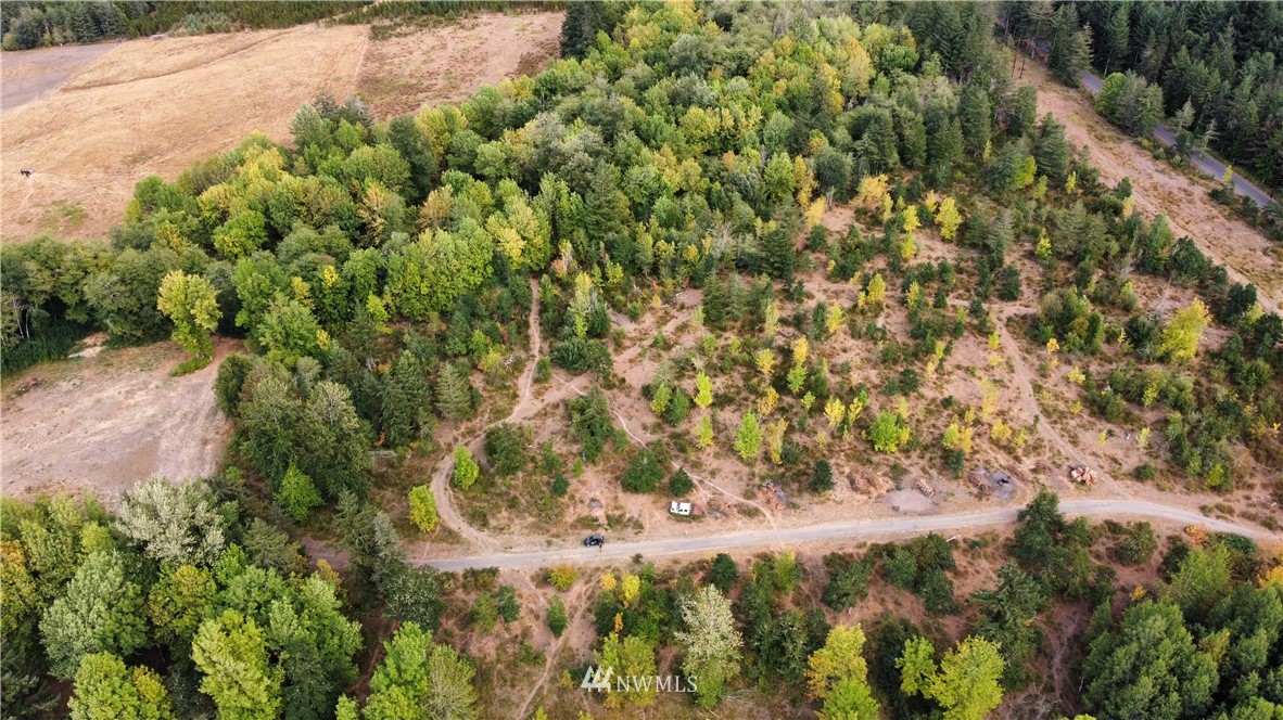 641 Boistfort Road Curtis, WA 98538 - Photo 5 of 19 a view of a yard
