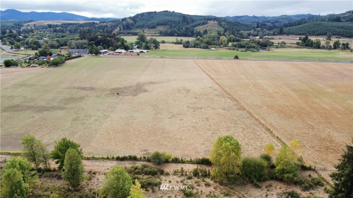 641 Boistfort Road Curtis, WA 98538 - Photo 6 of 19 a view of grassy field with mountain