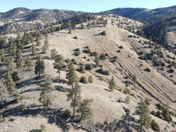 $275,000 | Tbd Tbd County Road, Powderhorn, CO 81243