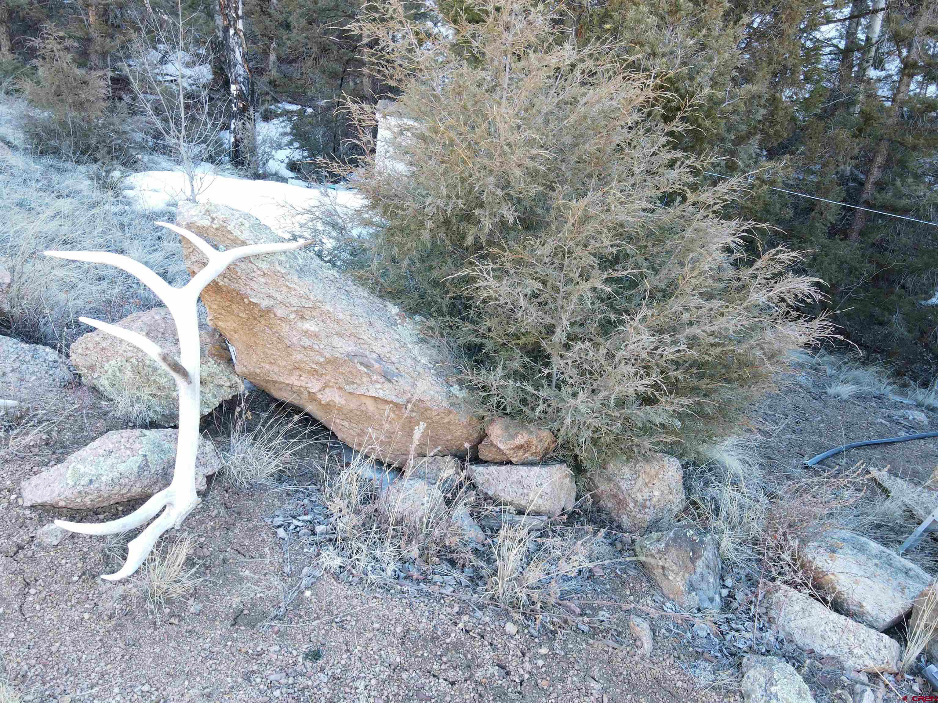 Tbd Tbd County Road Powderhorn, CO 81243 - Photo 21 of 23