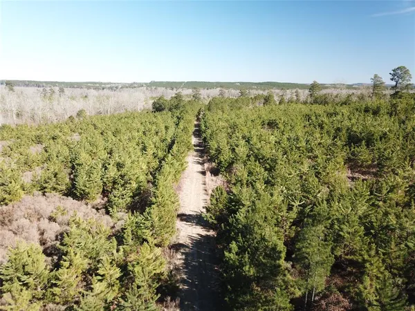 $189,000 | 0 Off Highway, Gibsland, LA 71028