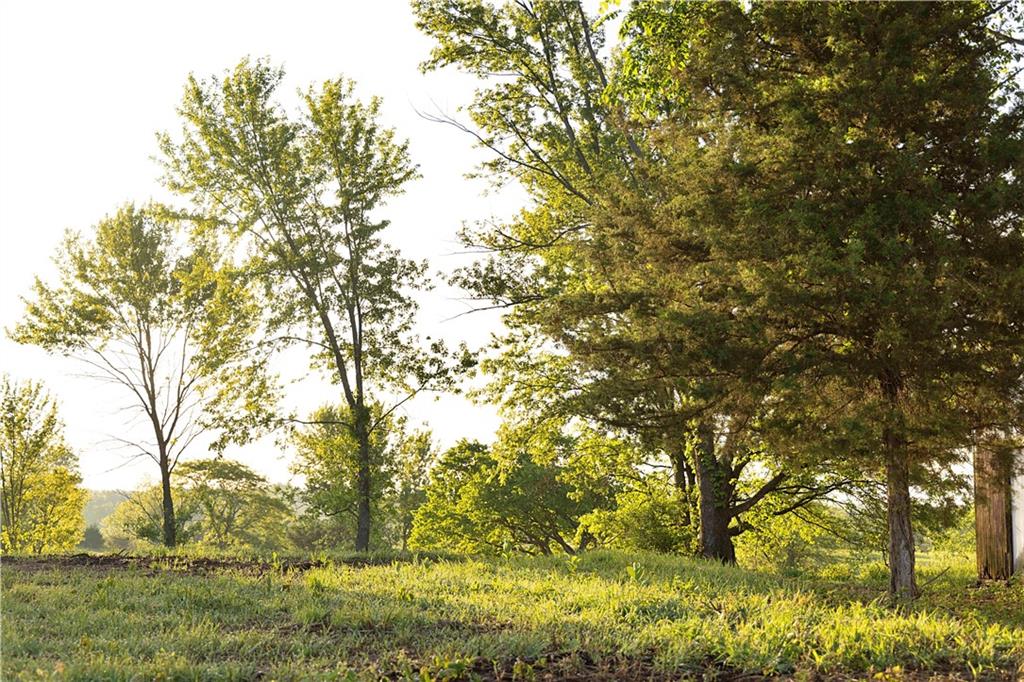 Murray Rd Road Polo, MO 64671 - Photo 13 of 53
