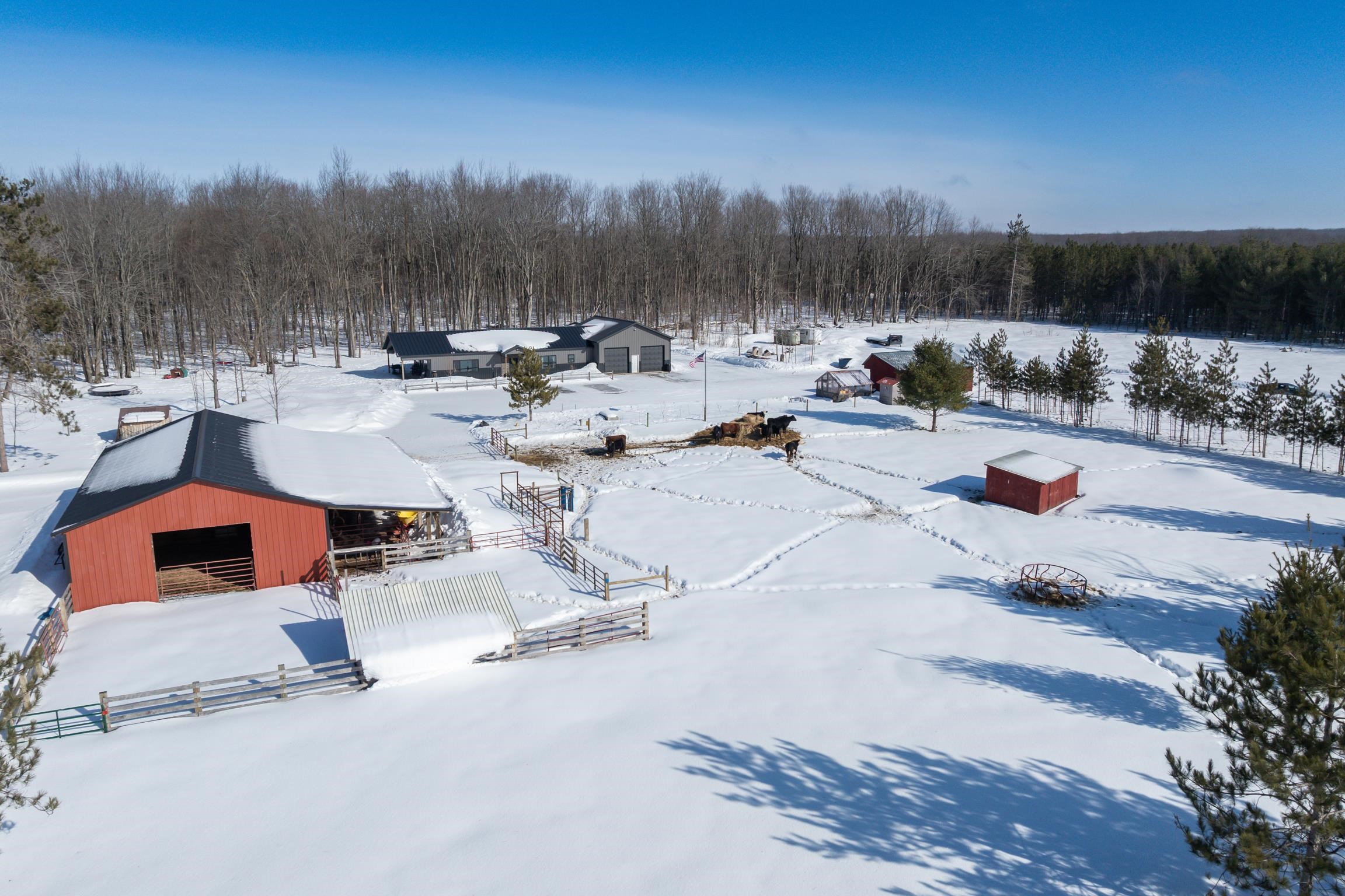 7387 Alba Road Elmira, MI 49730 - Photo 46 of 48
