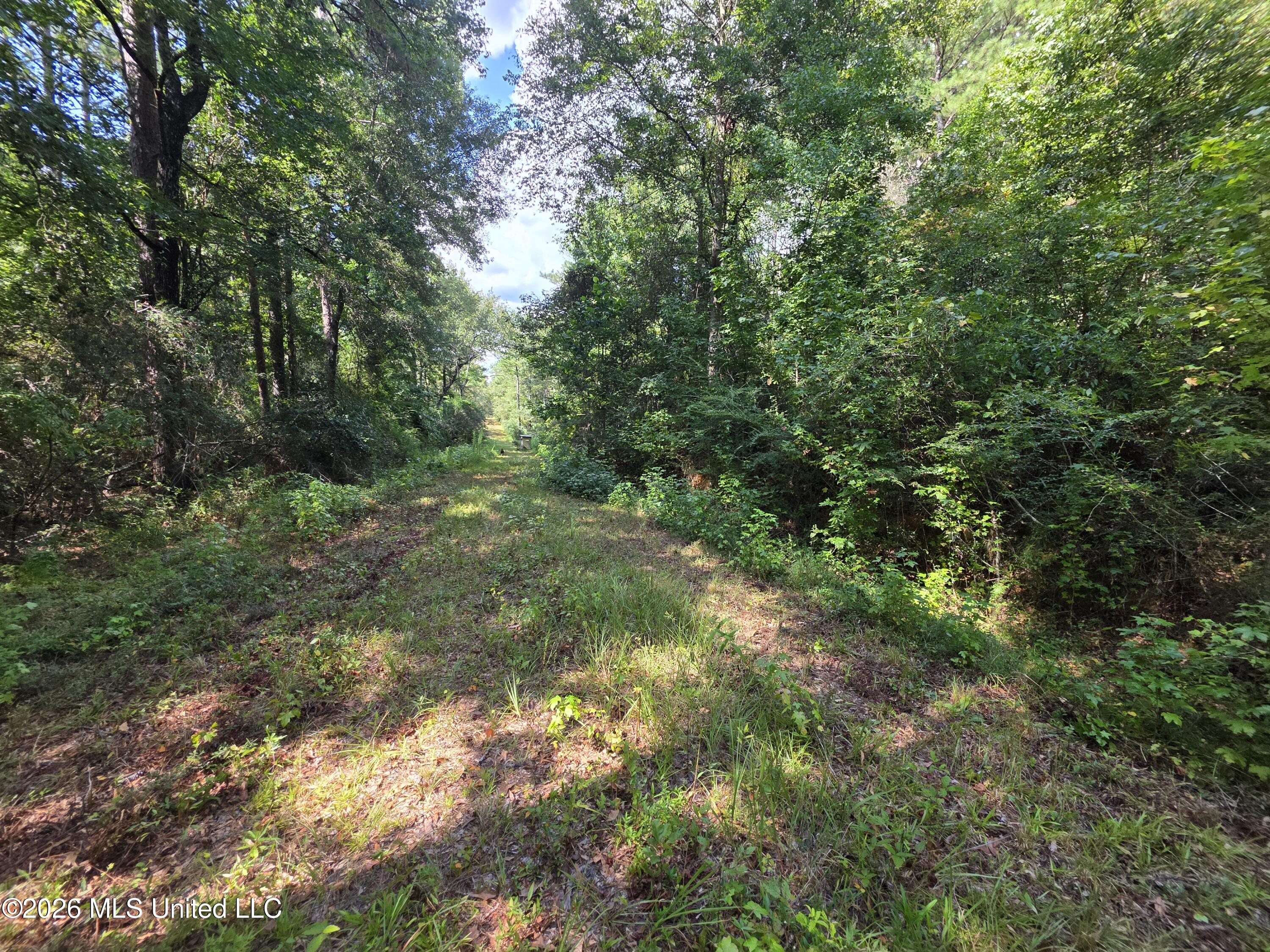 325 Double Ponds Road Prentiss, MS 39474 - Photo 26 of 43 39366