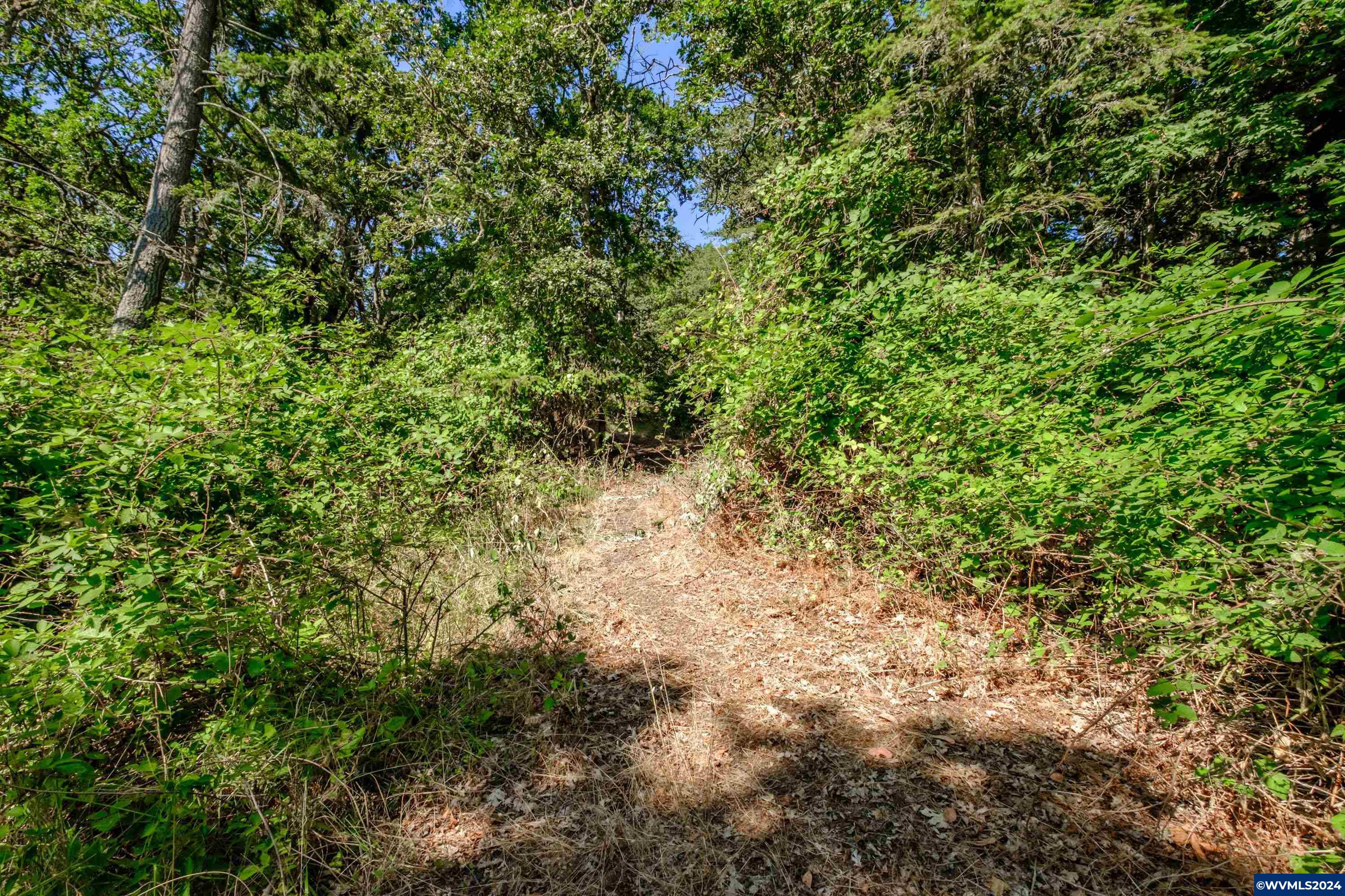 28920 Sheep Head Road Brownsville, OR 97327 - Photo 26 of 32