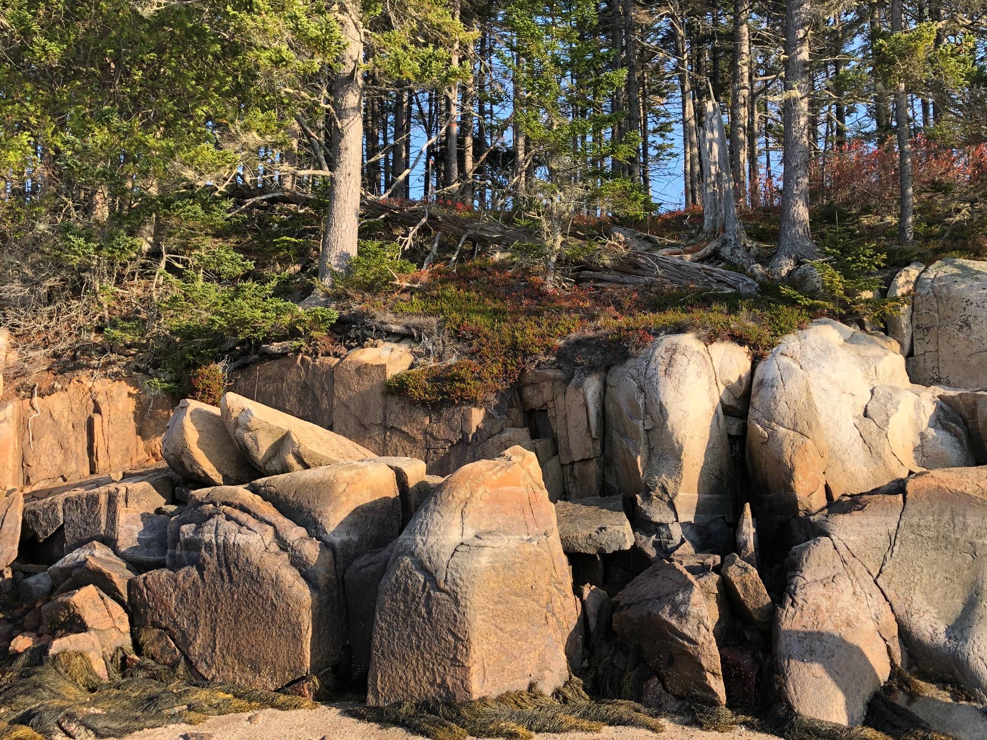 46 Peninsula Shores Road Gouldsboro, ME 04607 - Photo 4 of 12 IMG_3827