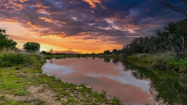 a view of a lake from a yard