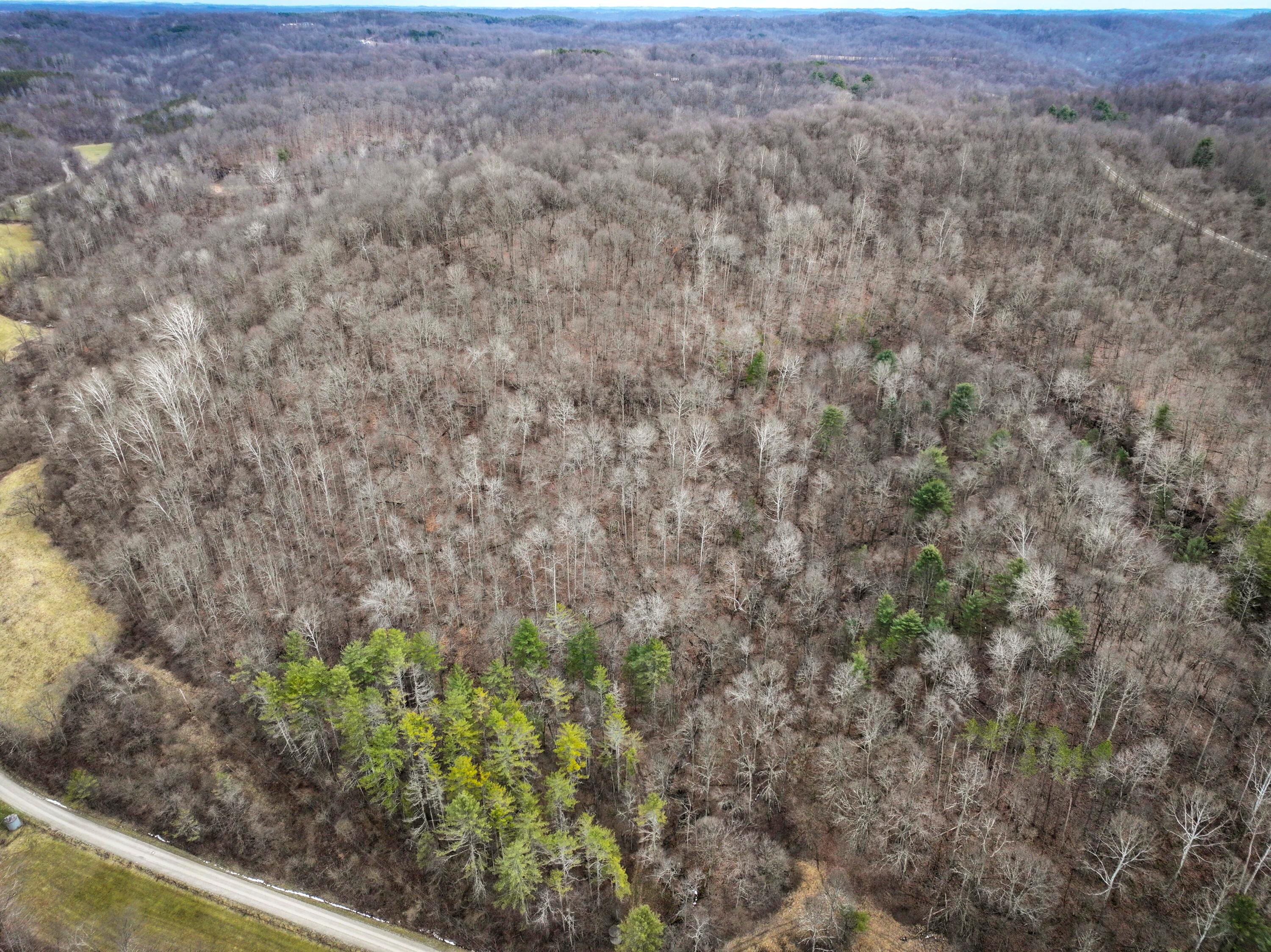 13 Ayers Ridge Road Lower Salem, OH 45745 - Photo 16 of 32 Tract 13_TD-17