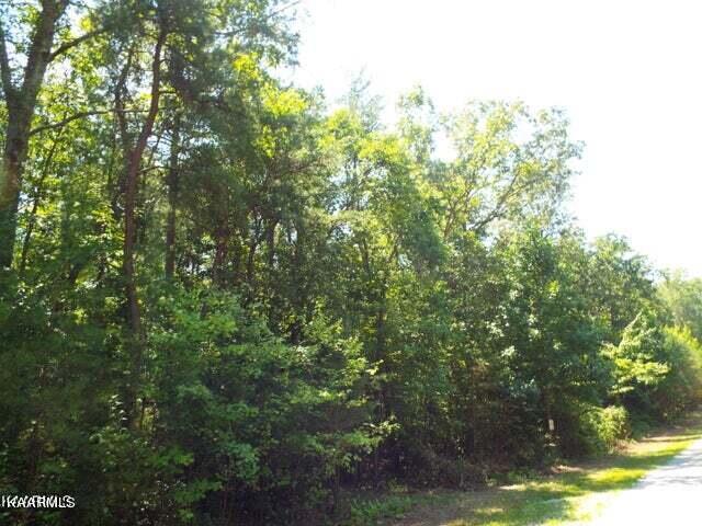 13 George Drive Deer Lodge, TN 37726 - Photo 7 of 9 20230824194217908621000000-o