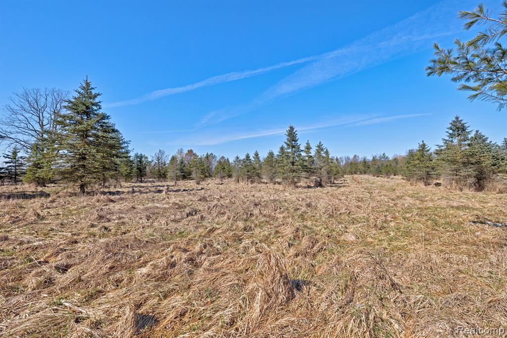 11899 Burt Road Memphis, MI 48041 - Photo 43 of 61