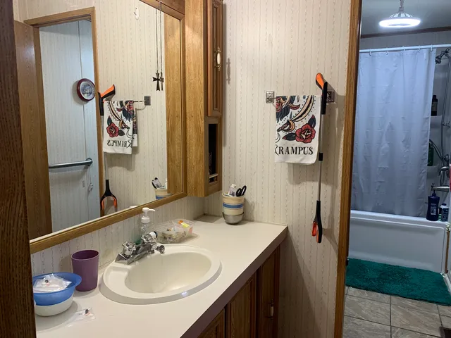 a view of a back yard of the house