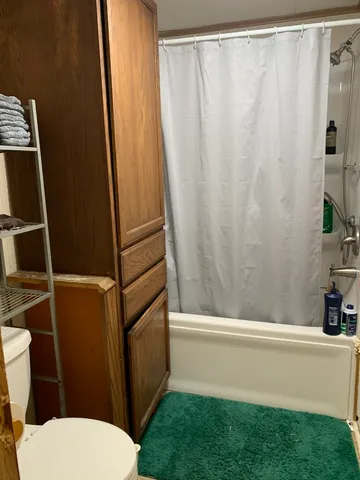 a view of a backyard with a large tree