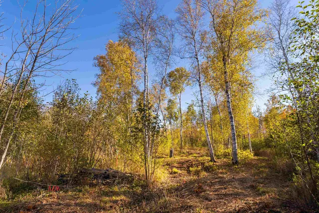 $175,000 | 47-xx 3rd Avenue South, Duluth, MN 55803