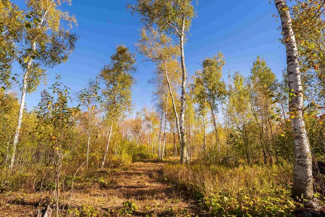 $175,000 | 47-xx 3rd Avenue South, Duluth, MN 55803