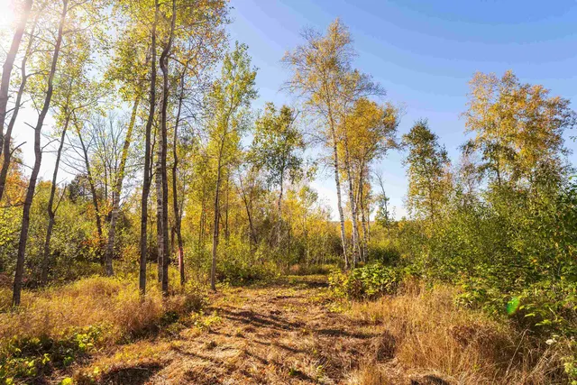 $175,000 | 47-xx 3rd Avenue South, Duluth, MN 55803