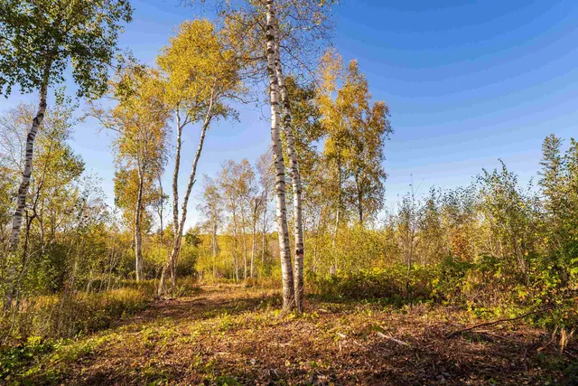 $175,000 | 47-xx 3rd Avenue South, Duluth, MN 55803