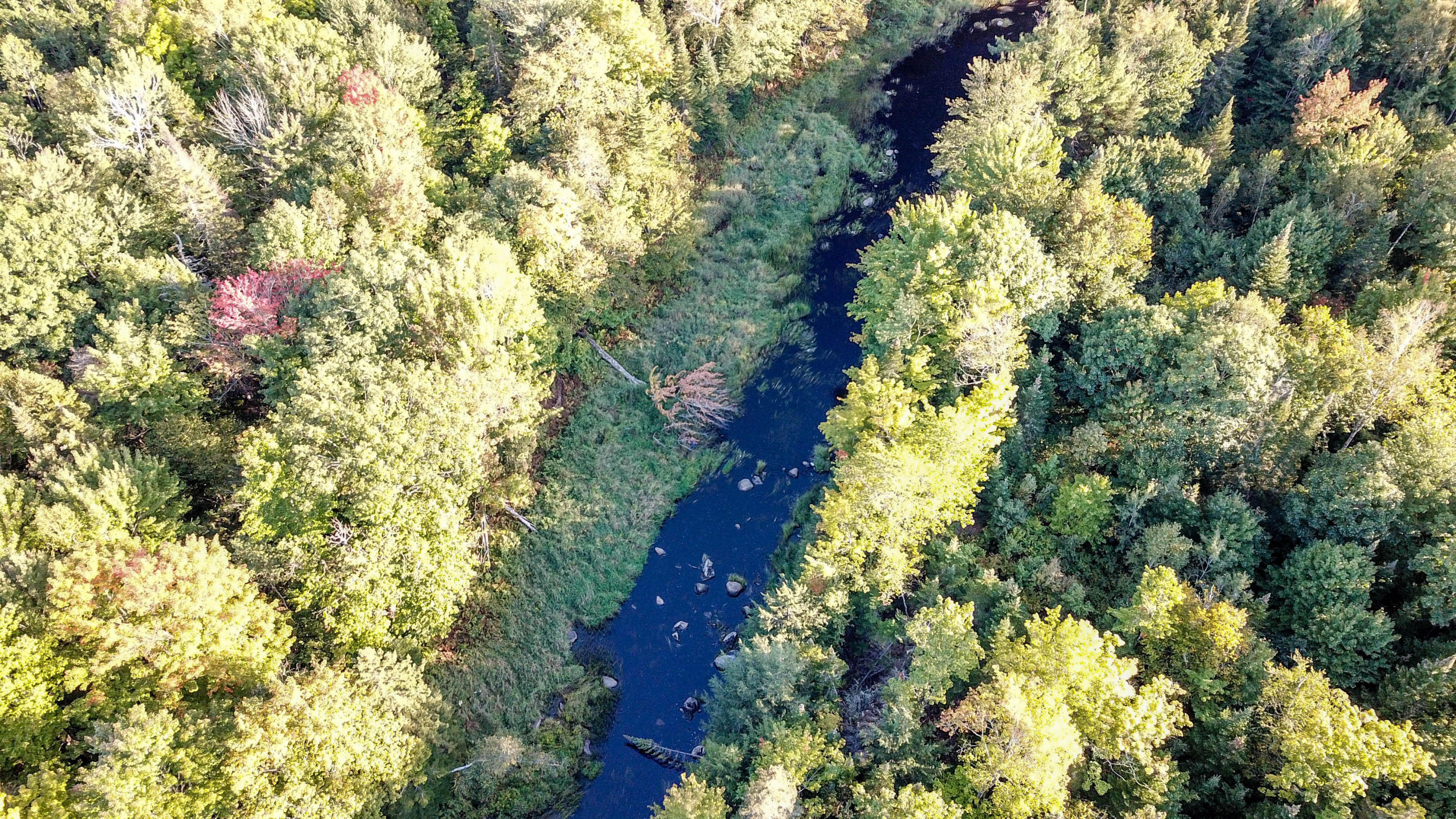 0 Argyle Road Old Town, ME 04468 - Photo 21 of 32 Aerial View