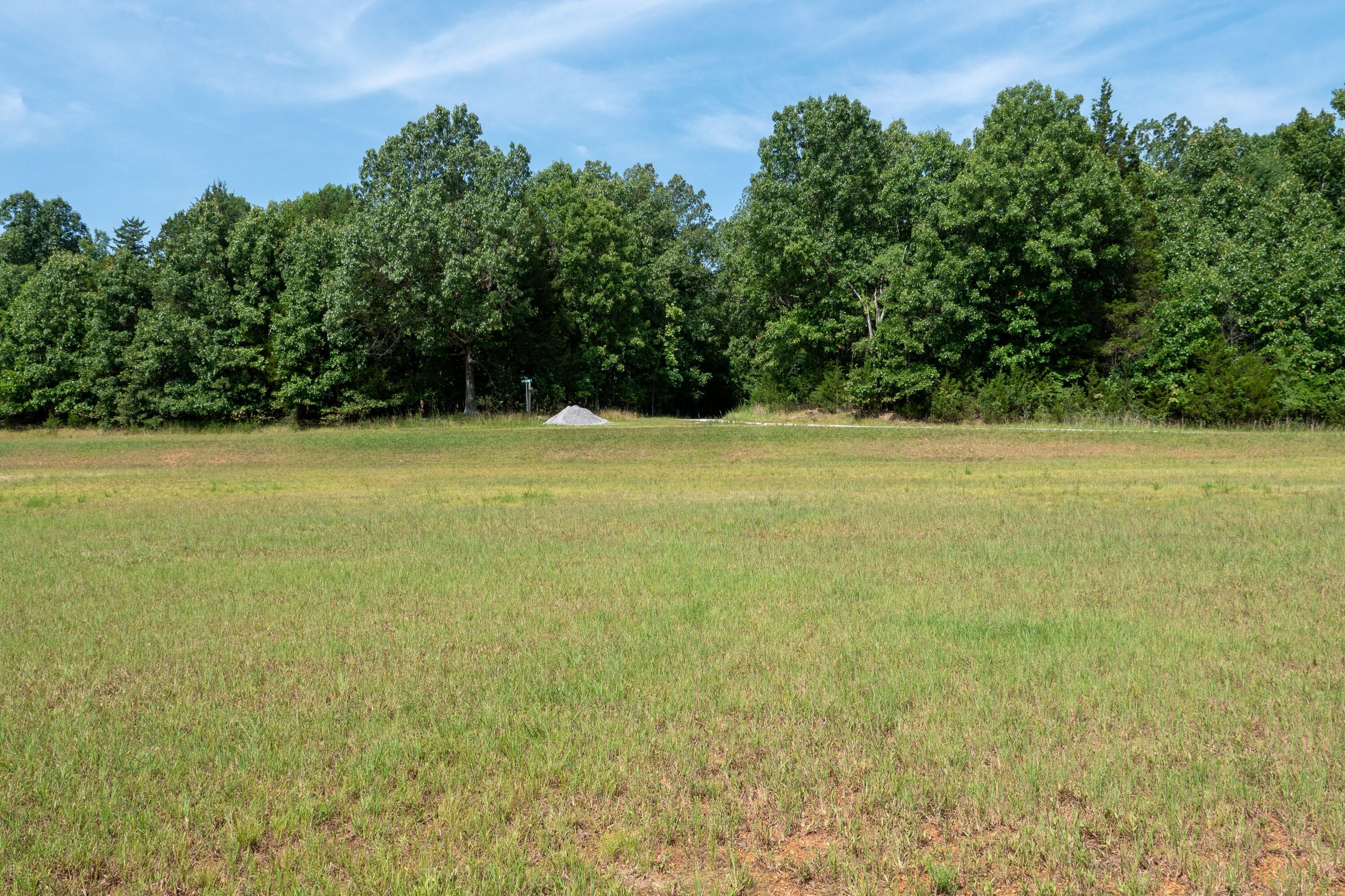 0 Lakeshore Road, Unit LOT #2 Protem, MO 65733 - Photo 13 of 60 P1488398 (Custom)