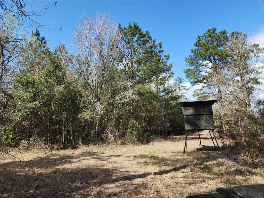 1012 Star Ranch Road Brunswick, GA 31523 - Photo 27 of 43