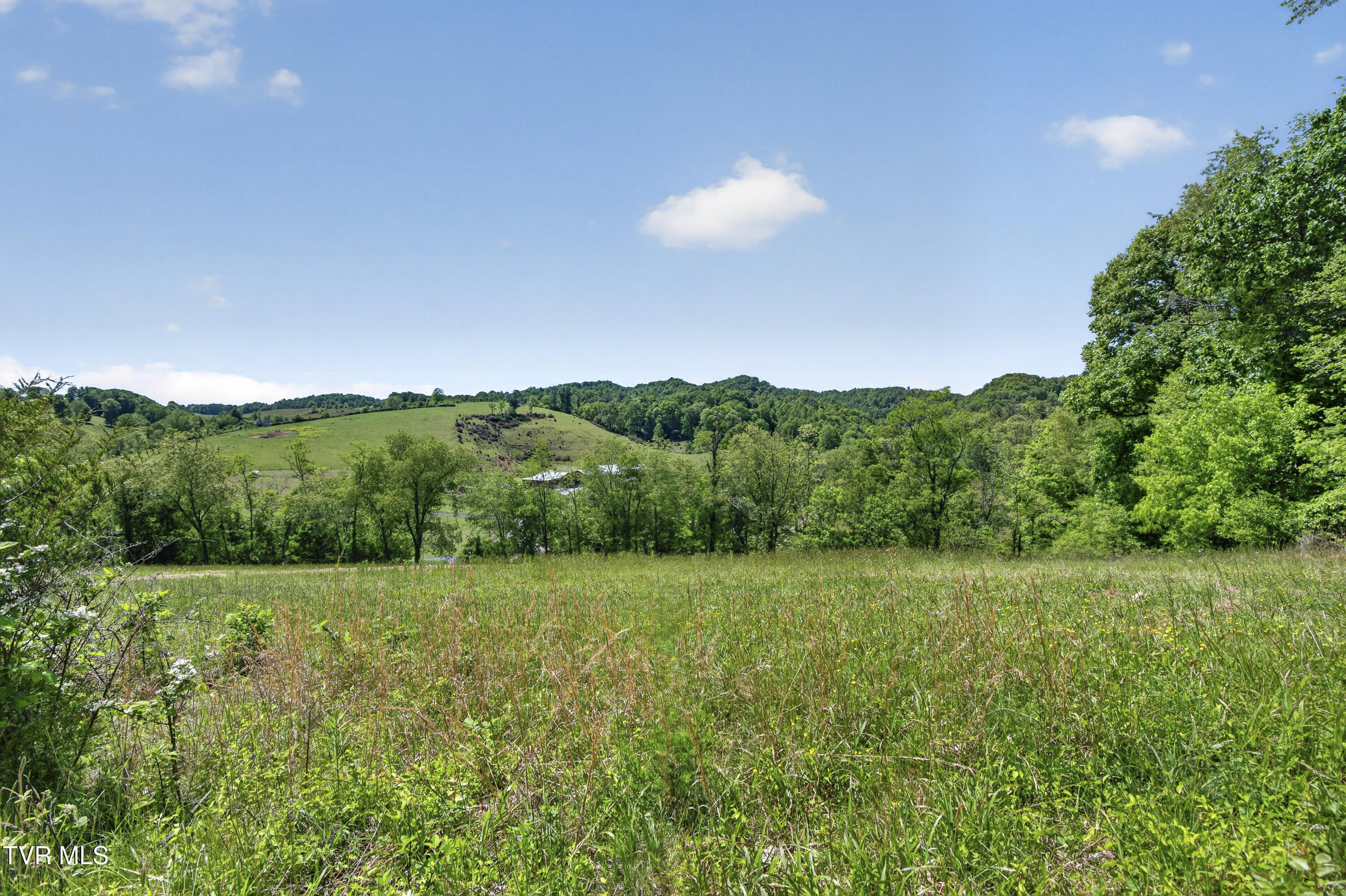 12392 Rich Valley Road Bristol, VA 24202 - Photo 3 of 53 12392-Rich-Valley-Rd-Bristol-VA-29