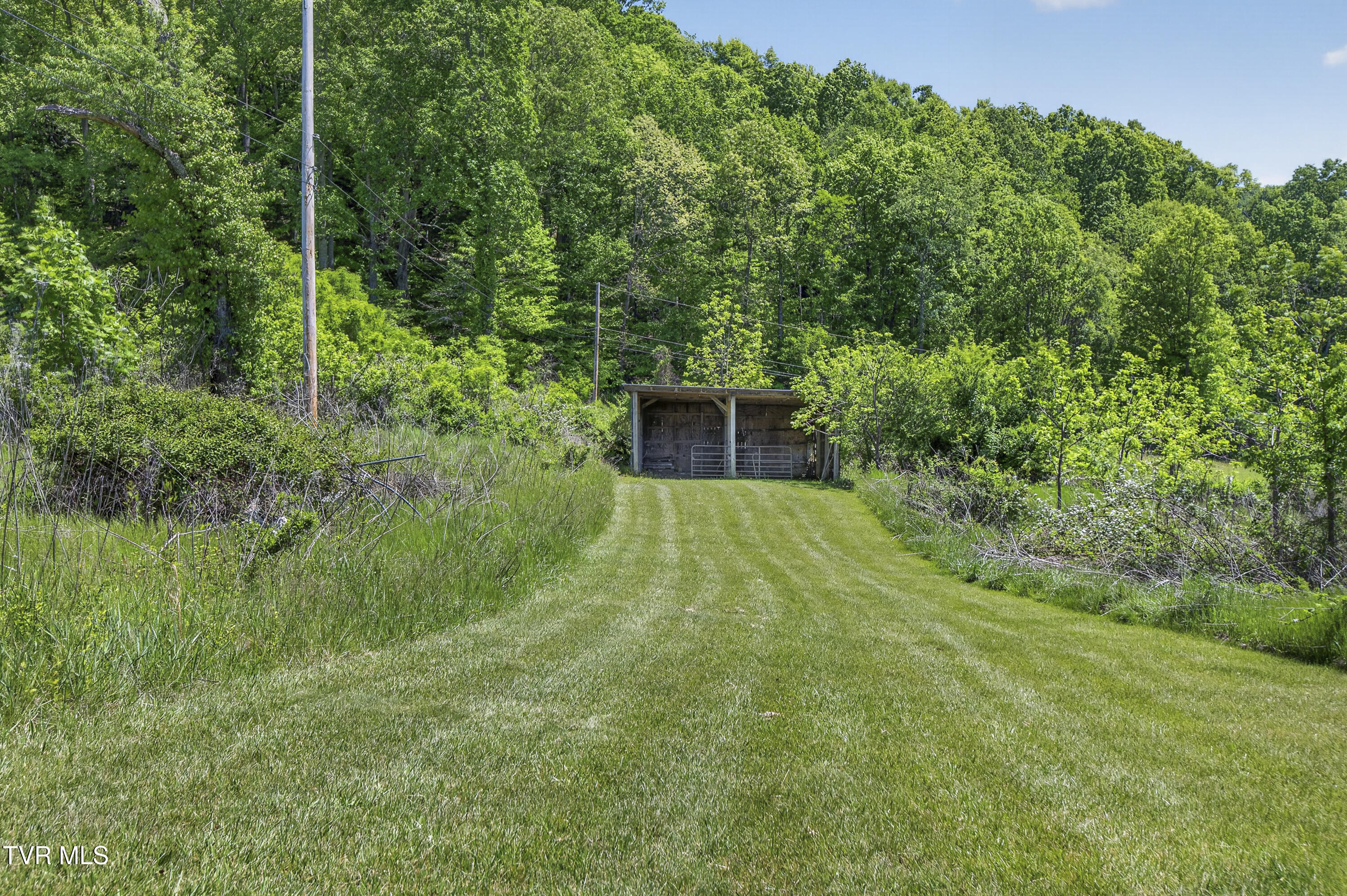12392 Rich Valley Road Bristol, VA 24202 - Photo 9 of 53 12392-Rich-Valley-Rd-Bristol-VA-25