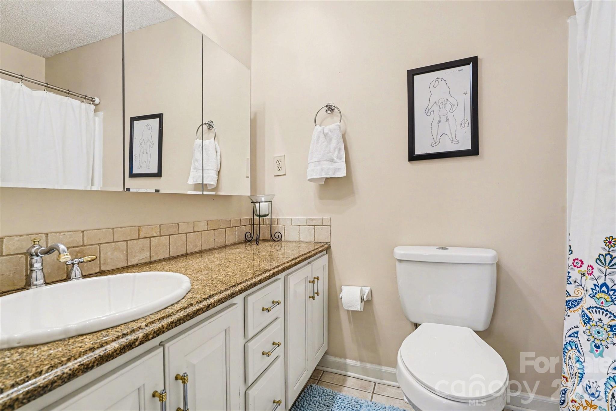 313 Wisteria Lane Kannapolis, NC 28083 - Photo 17 of 23 a bathroom with a granite countertop toilet sink and mirror