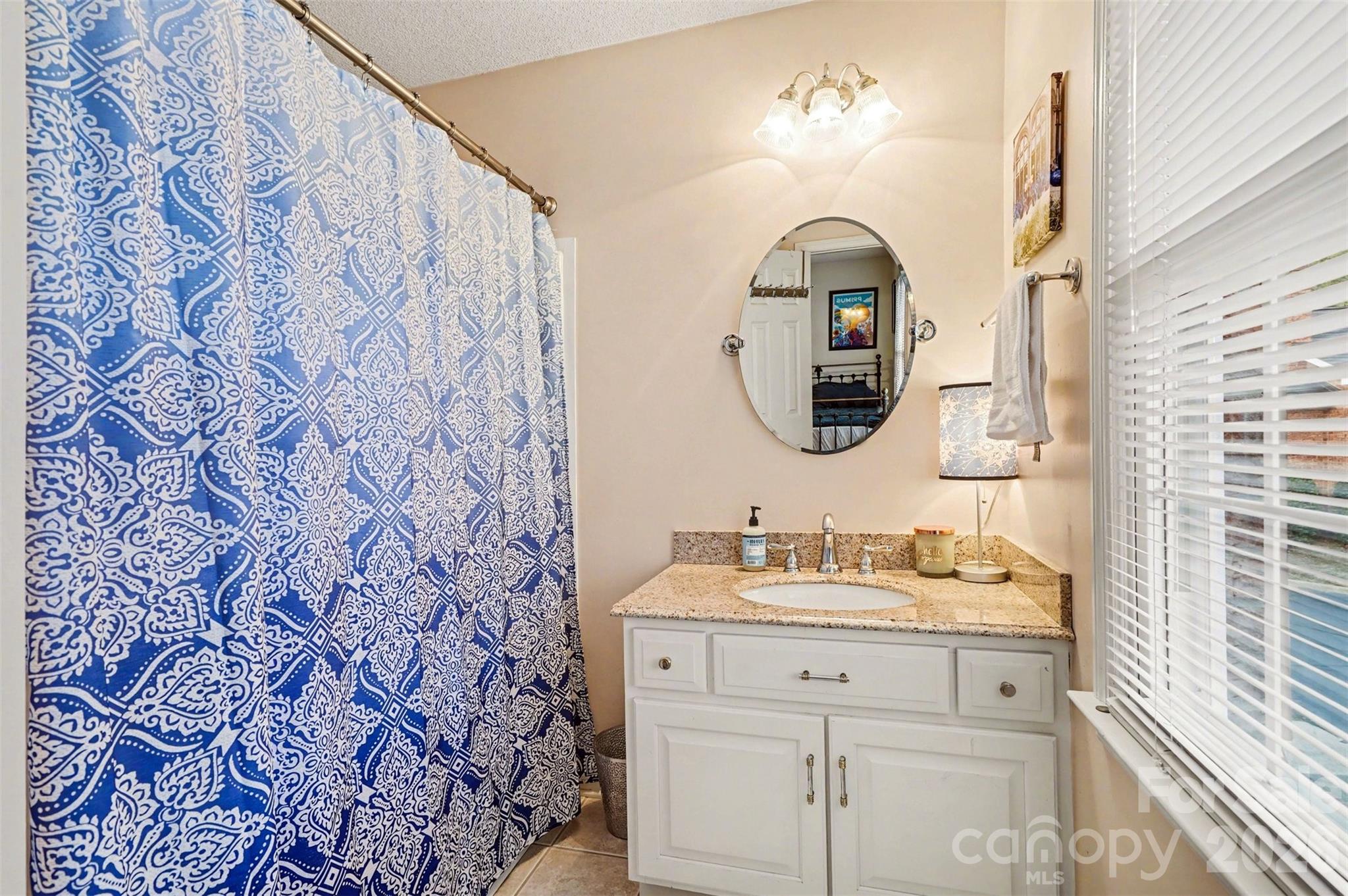 313 Wisteria Lane Kannapolis, NC 28083 - Photo 18 of 23 a bathroom with a sink and a mirror