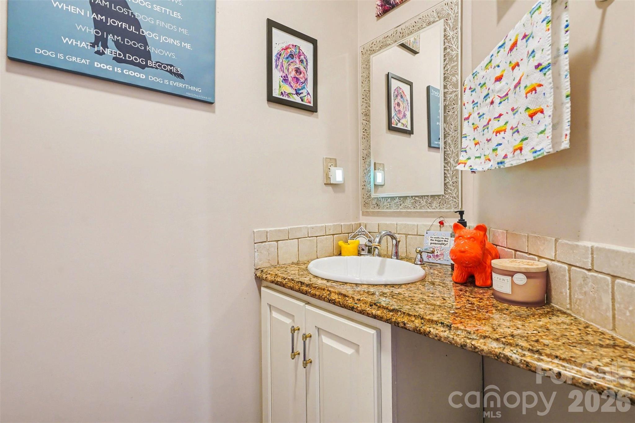 313 Wisteria Lane Kannapolis, NC 28083 - Photo 9 of 23 a bathroom with a sink and a mirror