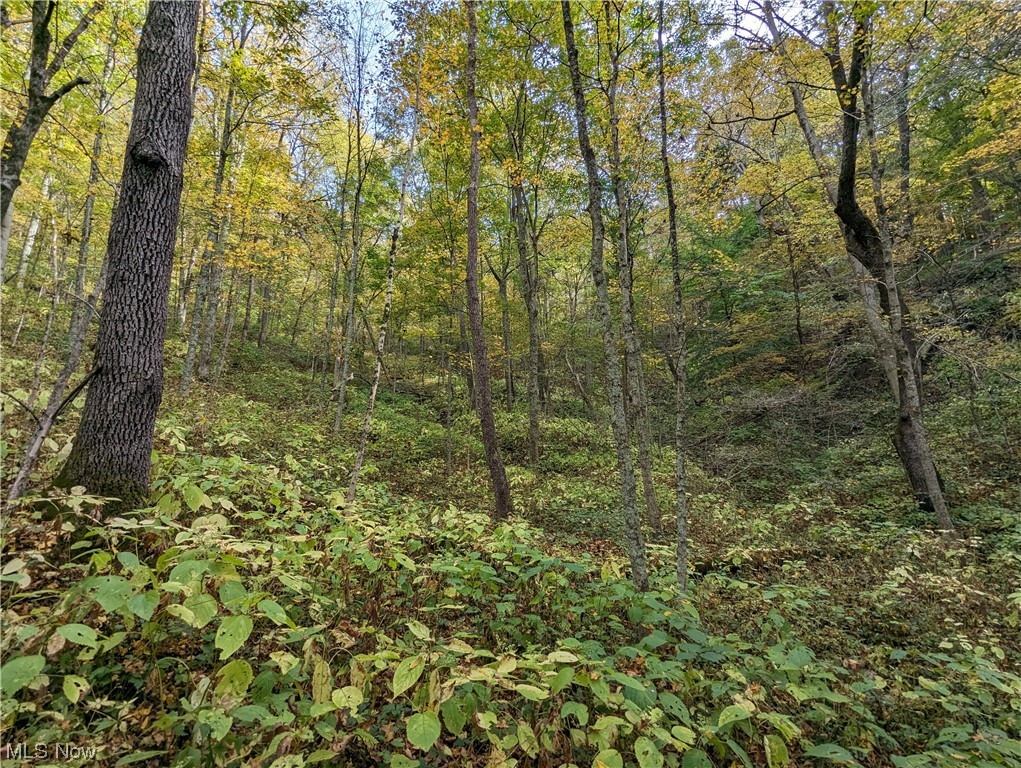 Crabapple Road Alledonia, OH 43902 - Photo 17 of 21