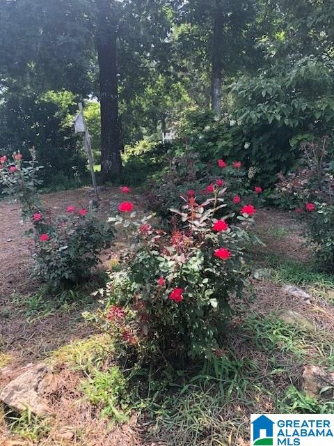3745 Crestbrook Road Birmingham, AL 35223 - Photo 20 of 42