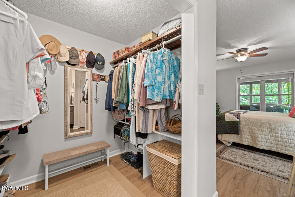 411 Laurel Road Townsend, TN 37882 - Photo 23 of 46 Master Closet
