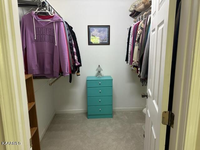 411 Laurel Road Townsend, TN 37882 - Photo 27 of 46 Upper level Closet