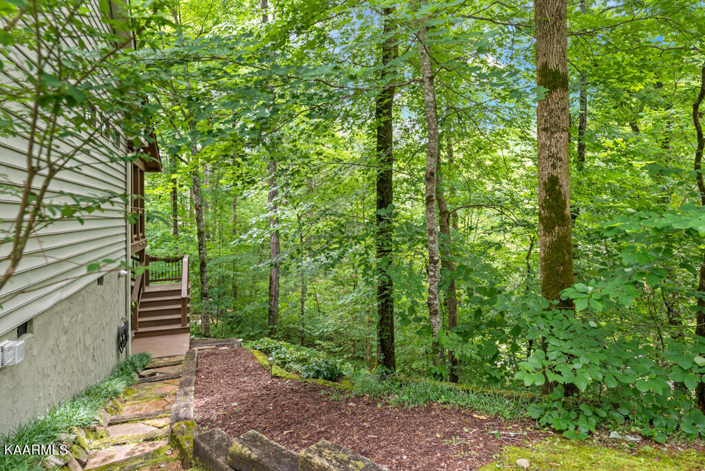 411 Laurel Road Townsend, TN 37882 - Photo 43 of 46 Side Steps