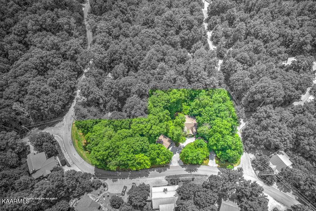 411 Laurel Road Townsend, TN 37882 - Photo 44 of 46 Double Lot