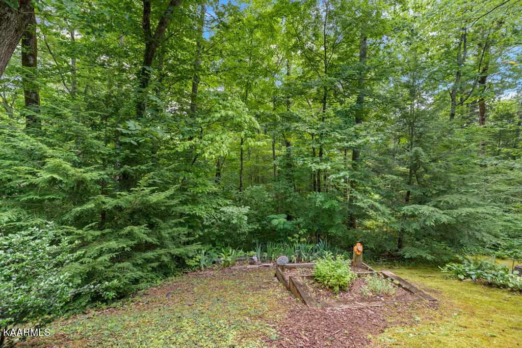 411 Laurel Road Townsend, TN 37882 - Photo 9 of 46 Lush Landscaping