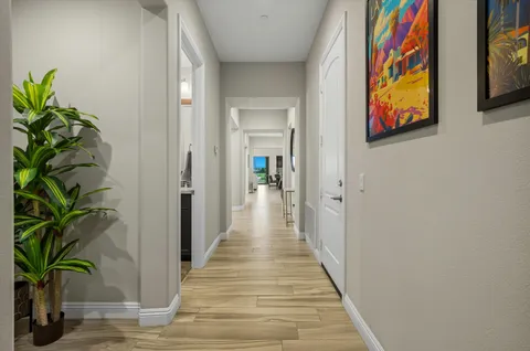 a view of a hallway with wooden floor and a potted plant