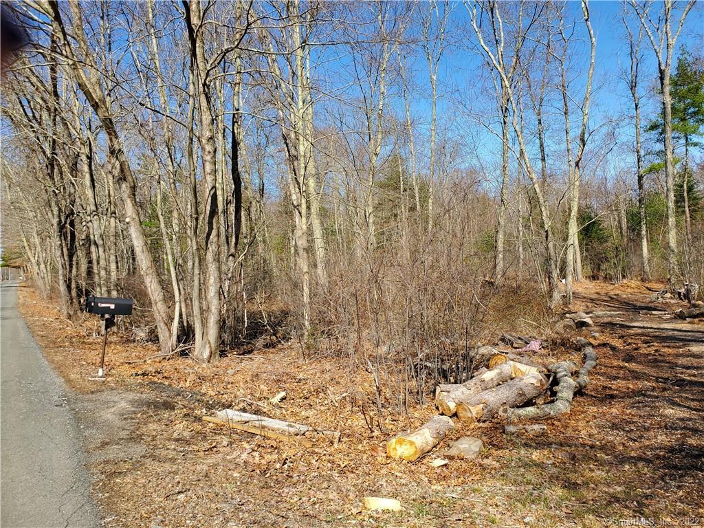 172 Porter Plain Road Thompson, CT 06277 - Photo 1 of 1 a view of covered with snow
