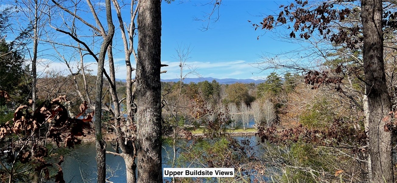 116 Yellowbear Way, Unit 66 Sunset, SC 29685 - Photo 2 of 18 Gallery Image 2